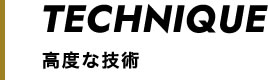 高度な技術